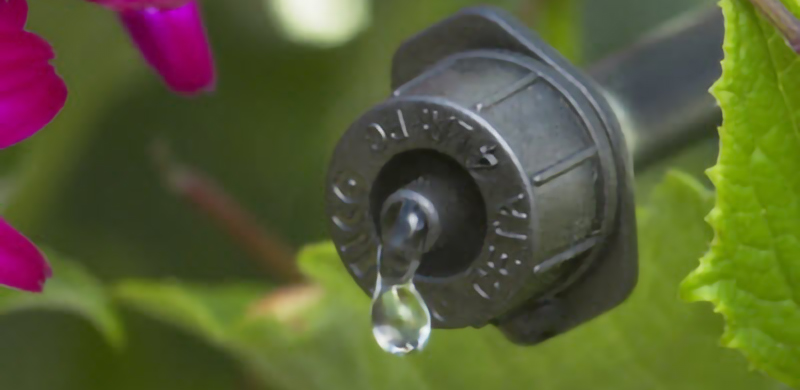 iosin.vn đang cập nhật...