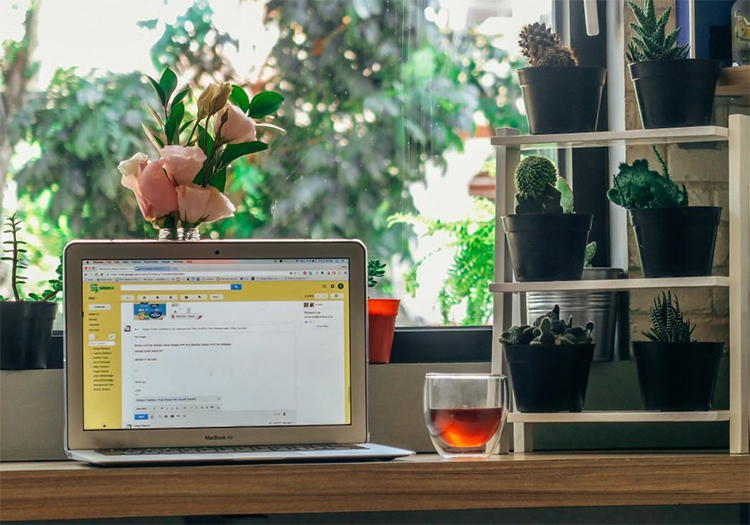 iosin.vn đang cập nhật...